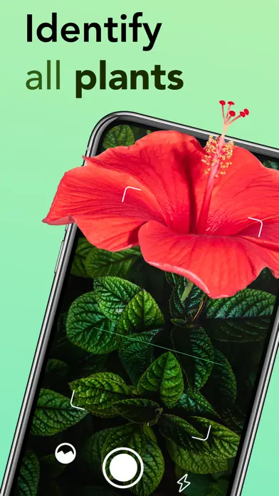 Plant Identification App Store preview